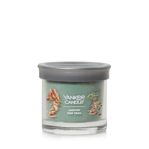 Yankee Candle® Canyon Pine Trail Kleines Glas 122g