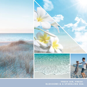 Ocean Air Kleines Glas 122g