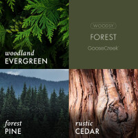 Forest - Mens Collection 3-Docht-Kerze 411g