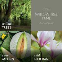Willow Tree Lane Wachsmelt 59g