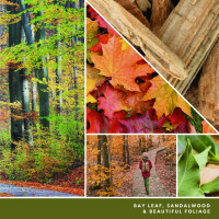 Autumn Nature Walk Mini Glas 37g