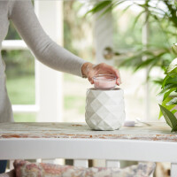 Pink Sands™ Scenterpiece™ Easy MeltCup