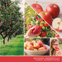 Macintosh Raumspray 43g