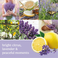 Lemon Lavender Smart Scent™ Vent Clip