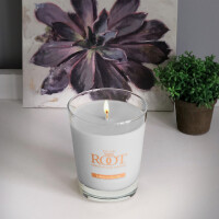 Tobacco Vanilla Großes Veriglass 298g
