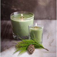Winter Balsam Kleines Veriglass 178g
