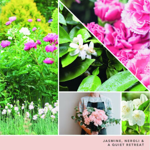 Tranquil Garden Signature Glas 567g