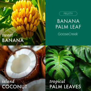 Banana Palm Leaf 3-Docht-Kerze 411g
