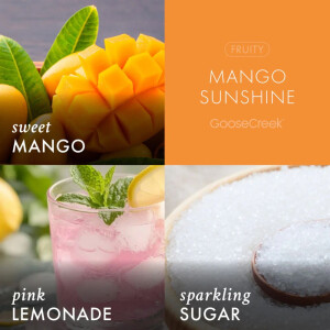 Mango Sunshine 3-Docht-Kerze 411g