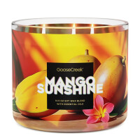Mango Sunshine 3-Docht-Kerze 411g