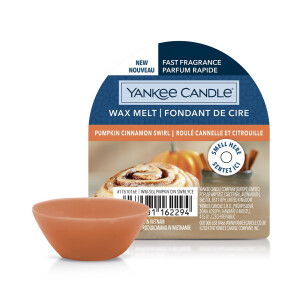Pumpkin Cinnamon Swirl Wachsmelt 22g