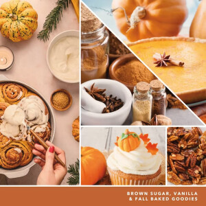 Pumpkin Cinnamon Swirl Wachsmelt 22g