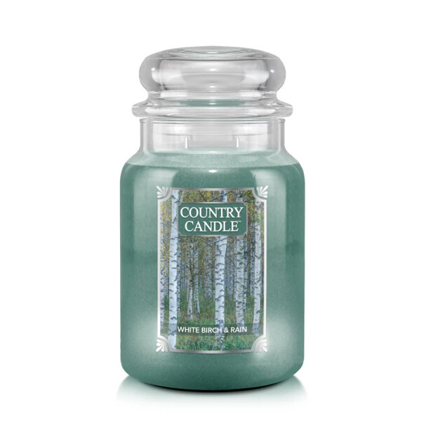 White Birch & Rain 2-Docht-Kerze 652g