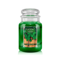 Country Candle™ Balsam & Cedar 2-Docht-Kerze 652g