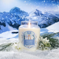 Fresh Powder Großes Glas 623g