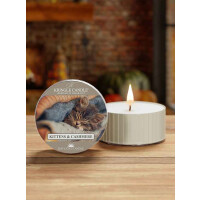 Kittens & Cashmere Daylight 35g