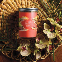 Cliffside Sunrise Signature Tumbler 567g