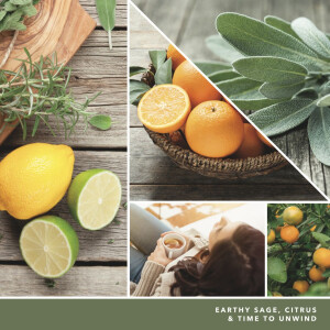 Sage & Citrus Kleines Glas 122g