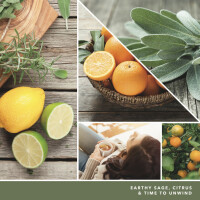 Sage & Citrus Kleines Glas 122g