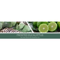 Frosted Eucalyptus 3-Docht-Kerze 411g