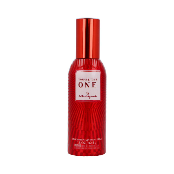 Youre the One Raumspray 42,5g