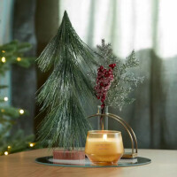 Christmas Cookie™ Studio Glas 284g
