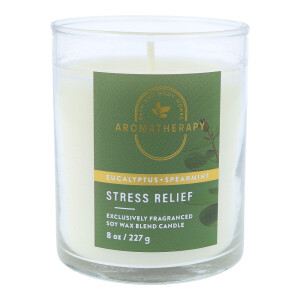 Eucalyptus Spearmint 1-Docht-Kerze 227g