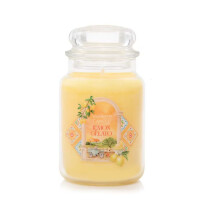 Lemon Gelato Großes Glas 623g