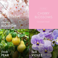 Cherry Blossoms 3-Docht-Kerze 411g