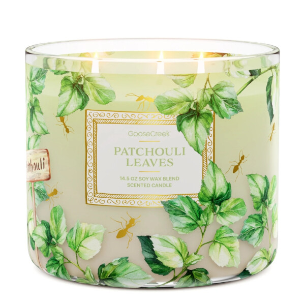 Patchouli Leaves 3-Docht-Kerze 411g