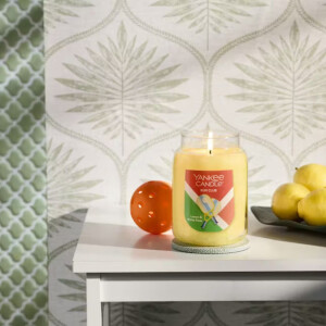 Sun Club - Lemon &amp; White Rose Gro&szlig;es Glas 623g