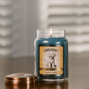 Doodles Delight Großes Glas 623g