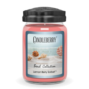 Lemon Berry Sorbet™ Großes Glas 623g