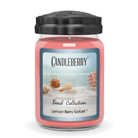 Lemon Berry Sorbet™ Großes Glas 623g