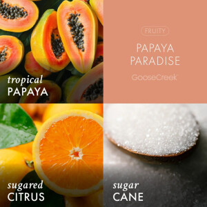 Papaya Paradise 3-Docht-Kerze 411g