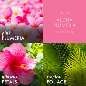 Aloha Plumeria 3-Docht-Kerze 411g