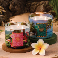 Aloha Plumeria 3-Docht-Kerze 411g