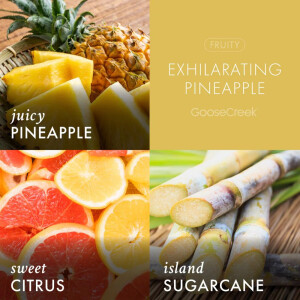 Exhilarating Pineapple 3-Docht-Kerze 411g