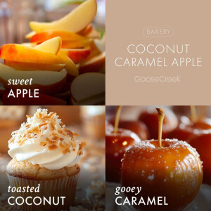 Coconut Caramel Apple Wachsmelt 59g