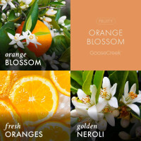 Orange Blossom Wachsmelt 59g