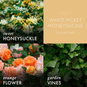 White Picket Honeysuckle Wachsmelt 59g