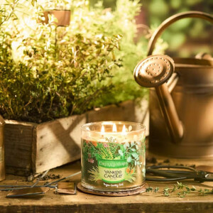 Emerald Herbs -  Thyme · Earthy Soil 3-Docht-Kerze...