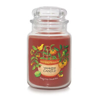 Sun Gold Tomato - Tangy Lime · Tomato Vine Großes Glas 623g