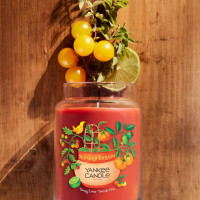 Sun Gold Tomato - Tangy Lime · Tomato Vine Großes Glas 623g