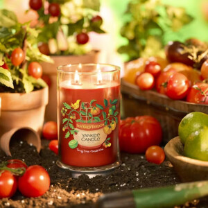 Sun Gold Tomato - Tangy Lime · Tomato Vine...