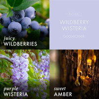 Wildberry Wisteria 3-Docht-Kerze 411g