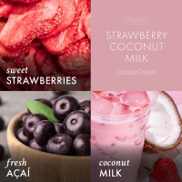 Strawberry Coconut Milk 3-Docht-Kerze 411g
