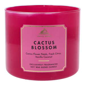 Cactus Blossom 3-Docht-Kerze 411g