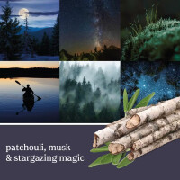 Midsummers Night® 3er Bonus-Pack Car Jar® / Duftbaum