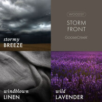 Storm Front 3-Docht-Kerze 411g